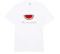 Ce n'est Pas Une pastèque - Palestine Fun Comfort Colors Adult Heavyweight T-Shirt
