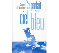 Ce parfait ciel bleu - Xavier De Moulins - Au diable vauvert - broché - Roman