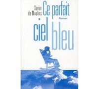 Ce parfait ciel bleu Xavier de Moulins (Auteur)