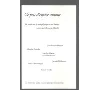 Ce peu d'espace autour : Six essais sur la métaphysique et ses limites