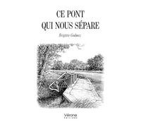 Ce pont qui nous sépare - Brigitte Godmez - Verone Eds - broché - Témoignage