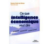 Ce Que Intelligence Économique Veut Dire: Comprendre. Comment Faire. Prendre Du Recul.