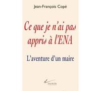 Ce que je n'ai pas appris à l'ENA : L'aventure d'un maire