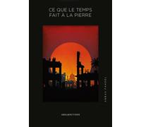 Ce que le temps fait à la pierre - Abbas Fahdel - Abstractions - broché - Roman