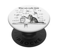 Ce Que Les Chats pensent Vraiment : Funny Physics Science Nerdy Cat Meme PopSockets PopGrip Adhésif