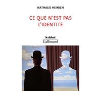 Ce que n’est pas l’identité