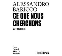 Ce que nous cherchons: 33 fragments