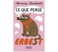 Ce Que Pense Ernest