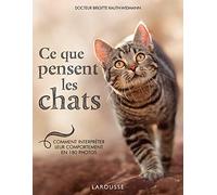 Ce que pensent les chats