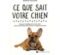 Ce que sait votre chien Sophie Collins (Auteur), Christine Destruhaut (Traduction)