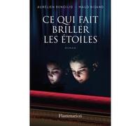 Ce qui fait briller les étoiles Aurélien Benoilid (Auteur), Maud Nisand (Auteur)