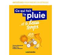 Ce qui fait la pluie... et le beau temps