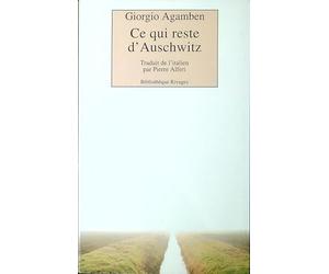 , Ce qui reste d'Auschwitz. L'Archive et le témoin