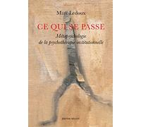 Ce qui se passe: Métapsychologie de la psychothérapie institutionnelle