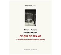 Ce Qui Se Trame - 12 Entretiens Autour Du Théâtre De Brigitte Haentjens
