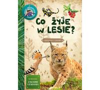 Ce qui vit dans la forêt