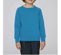 Ce sweatshirt est 100% coton biologique certifié. 12-14 ans