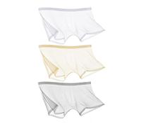 CEAeis Ice Silk Lot de 3 boxers en maille filet entièrement transparents, respirants, transparents et creux, pour hommes (3 pièces, A, 2XL)