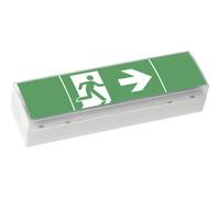 CEAG 40071354775 Eclairage LED d'issue de secours montage au plafond, montage