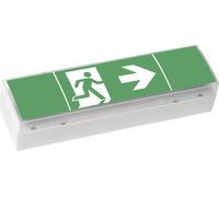 CEAG 40071354775 Eclairage LED d'issue de secours montage au plafond, montage mural gauche, droite, en bas
