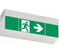 CEAG 40071354776 Eclairage LED dissue de secours montage au plafond, montage avec chaînes, montage au mur en porte-à-fa