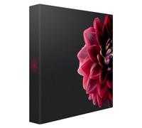 Ceanothe Album Photos Pochettes Dahlia 200 Photos 11,5x15 cm, 100 Pages, 200 Photos 11,5x15, Dimensions totales : 248x230x62 mm - Marque française