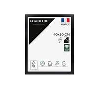 Ceanothe CADRE 40X50 ETERNEL NOIR