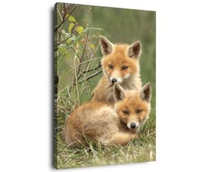 Ceanothe Tableau sur toile bébés renards 30x45 cm Décoration Murale Art Décoratif Muraux Peinture Imprimée en HD Salon Chambre Bureau Bois de Forêt FSC Fabriqué en France