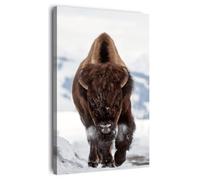 Ceanothe Tableau sur toile bison 45x65 cm Décoration Murale Art Décoratif Muraux Peinture Imprimée en HD Salon Chambre Bureau Bois de Forêt FSC Fabriqué en France