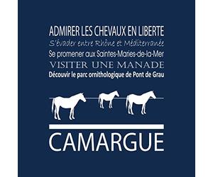 Ceanothe Tableau sur toile Camargue navy 30x30 cm