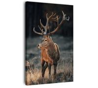 Ceanothe Tableau sur toile cerf sauvage 65x97 cm Décoration Murale Art Décoratif Muraux Peinture Imprimée en HD Salon Chambre Bureau Bois de Forêt FSC Fabriqué en France