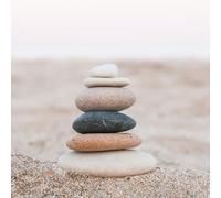 Ceanothe Tableau sur toile galets plage 30x30 cm Décoration Murale Art Décoratif Muraux Peinture Imprimée en HD Salon Chambre Bureau Bois de Forêt FSC Fabriqué en France