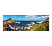 Ceanothe Tableau sur toile île Corse 45x135 cm Décoration Murale Art Décoratif Muraux Peinture Imprimée en HD Salon Chambre Bureau Bois de Forêt FSC Fabriqué en France