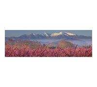 Ceanothe Tableau sur Toile Le Canigou eneigé 30x97 cm Décoration Murale Art Décoratif Muraux Peinture Imprimée en HD Salon Chambre Bureau Bois de Forêt FSC Fabriqué en France
