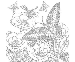 Ceanothe Tableau sur toile nature à colorier 30x30 cm Décoration Murale Art Décoratif Muraux Peinture Imprimée en HD Salon Chambre Bureau Bois de Forêt FSC Fabriqué en France