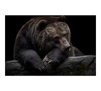 Ceanothe Tableau sur toile ours brun du Kamtchatka 65x97 cm Décoration Murale Art Décoratif Muraux Peinture Imprimée en HD Salon Chambre Bureau Bois de Forêt FSC Fabriqué en France