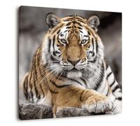 Ceanothe Tableau sur toile tigre de Sibérie 65x65 cm Décoration Murale Art Décoratif Muraux Peinture Imprimée en HD Salon Chambre Bureau Bois de Forêt FSC Fabriqué en France