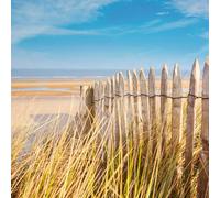 Tableau sur verre bord de mer 30x30 cm CEANOTHE Décoration Murale Art Décoratif Muraux Peinture Imprimée en HD Salon Chambre Bureau Fabriqué en France Jaune G