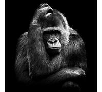 Ceanothe Tableau sur verre gorille pensant 30x30 cm - Impression Image Haute Définition Pour Décoration Murale avec Finition Brillante Fabriqué en France