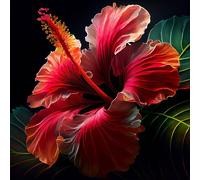 Ceanothe Tableau sur verre hibiscus 30x30 cm - Impression Image Haute Définition Pour Décoration Murale avec Finition Brillante Fabriqué en France