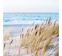 Ceanothe Tableau sur verre sandy beach 30x30 cm - Impression Image Haute Définition Pour Décoration Murale avec Finition Brillante Fabriqué en France