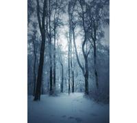 Ceanothe Tableau sur verre synthétique paysage glacé 80x120 cm Impression Image en Haute Définition Tableau mural décoratif Fabriqué en France