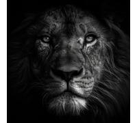 Ceanothe Tableau sur verre synthétique visage du lion 90x90 cm Impression Image en Haute Définition Tableau mural décoratif Fabriqué en France