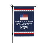 Ceci est normal - Drapeau du 25e amendement - Bannière de jardin double face 30 x 45 cm