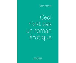 Ceci n'est pas un roman érotique