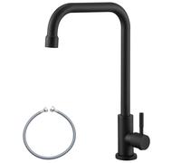 CECIPA Robinet Cuisine d'Eau Froide Noir, Robinet Pivotant 360° en Acier Inoxydable 304, pour Cuisine Jardin Toilettes