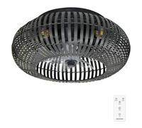 Cecotec – Ventilateur de plafond – Modèle Élégance – Noir