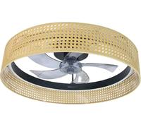 Cecotec Deckenventilator mit Beleuchtung EnergySilence LampAero 600 Beige Design