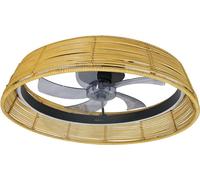 Cecotec Deckenventilator mit Beleuchtung EnergySilence LampAero 600 Natural Design