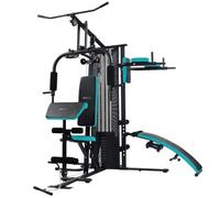 Cecotec Station de Musculation Drumfit HomeGym 2000 Double. 2 Saisons Bloc de Poids Total 65 kg Full-Body Workout, Coussinets rembourrés, réglable, Poids Maximum 150 kg